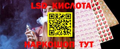 прущие грибы Анапа