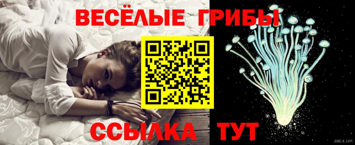 Псилоцибиновые грибы прущие грибы Энгельс