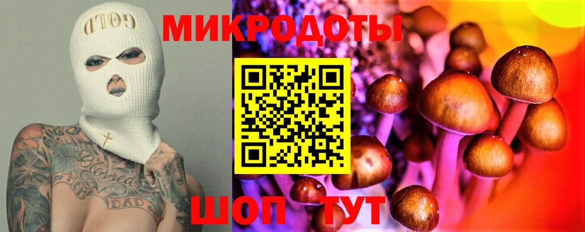 Псилоцибиновые грибы MAGIC MUSHROOMS  Вход с VPN  Энгельс  Псилоцибиновые грибы Cubensis 
